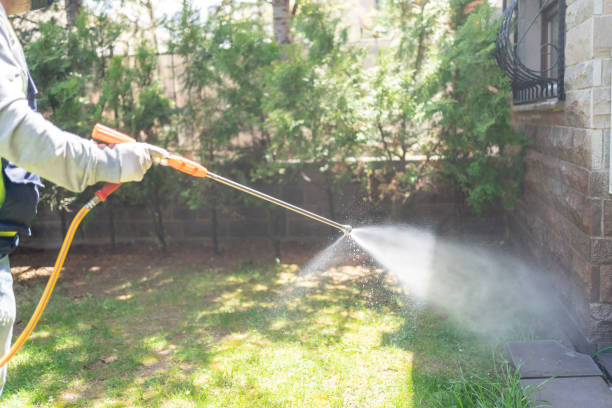 Best Pest Control Near Me in Lakes East, CT